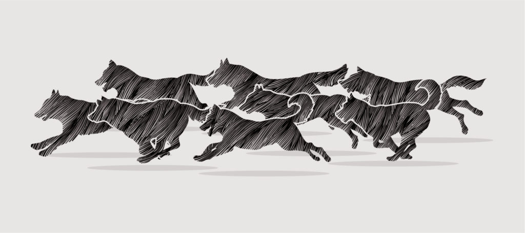 illustration of dogs running