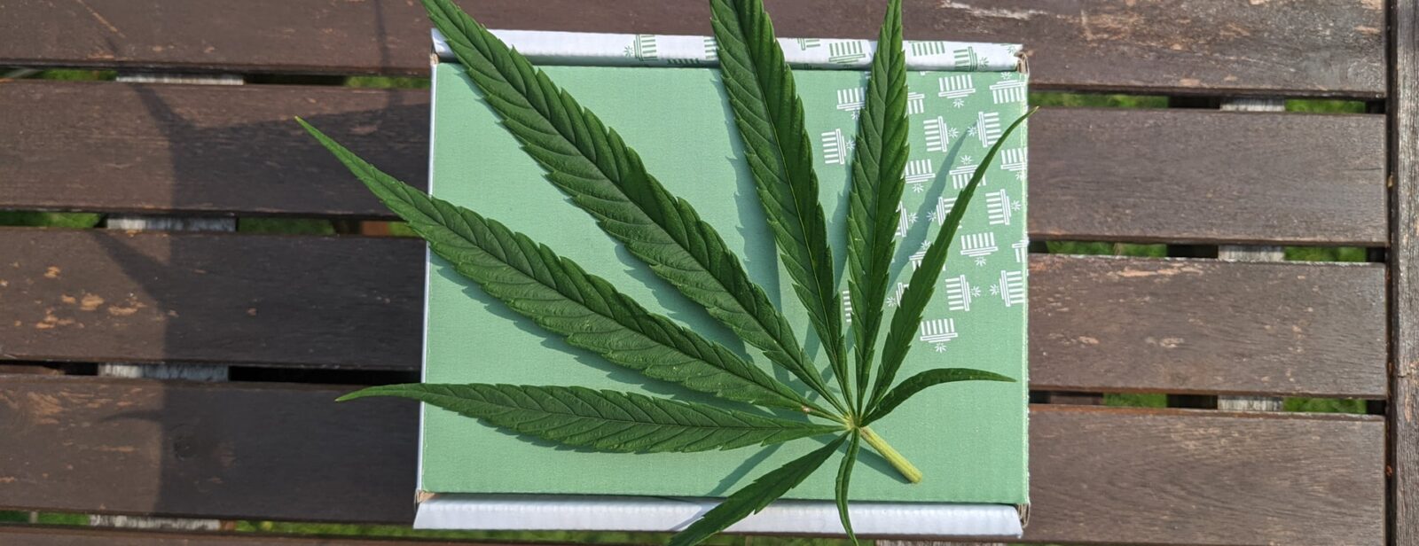 DUI and medical marijuana